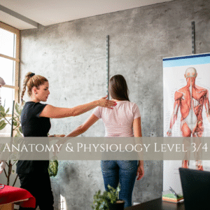 Anatomy-&-Physiology-Level-3-4