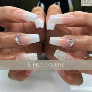 E-File-Course