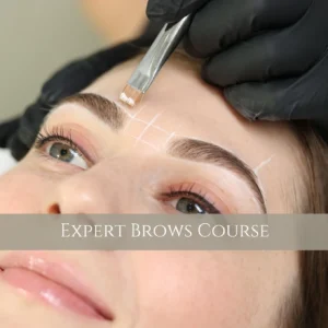 expert brows course