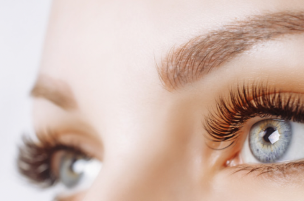 lash brow technician